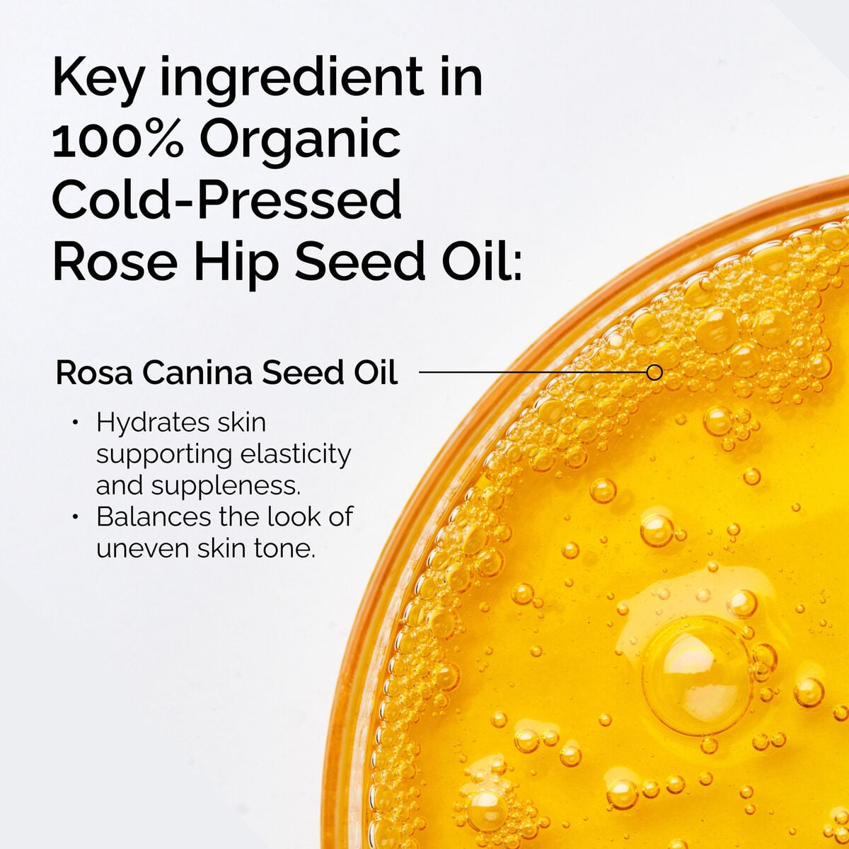 100-organic-cold-pressed-rose-hip-seed-oil-j8 FY25-D41247-ORD-Web-PDP-100-Rose-Hip-Oil-1x1-EN-2.jpg