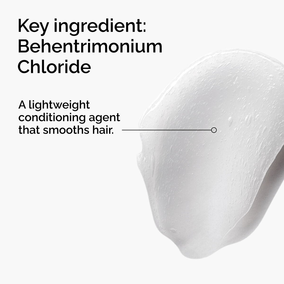 behentrimonium-chloride-2-conditioner-s3 FY25-D41247-ORD-Web-PDP-BTC-1x1-EN-2a.jpg