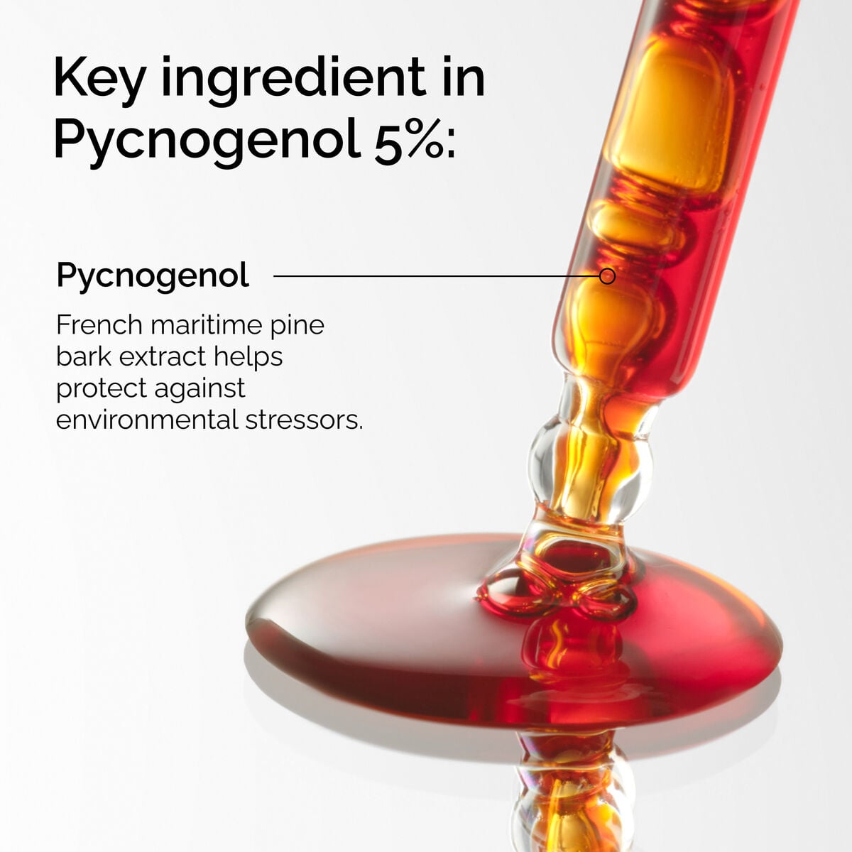 pycnogenol-5-m5 FY25-D41247-ORD-Web-PDP-Pyc-5pct-1x1-EN-2a.jpg