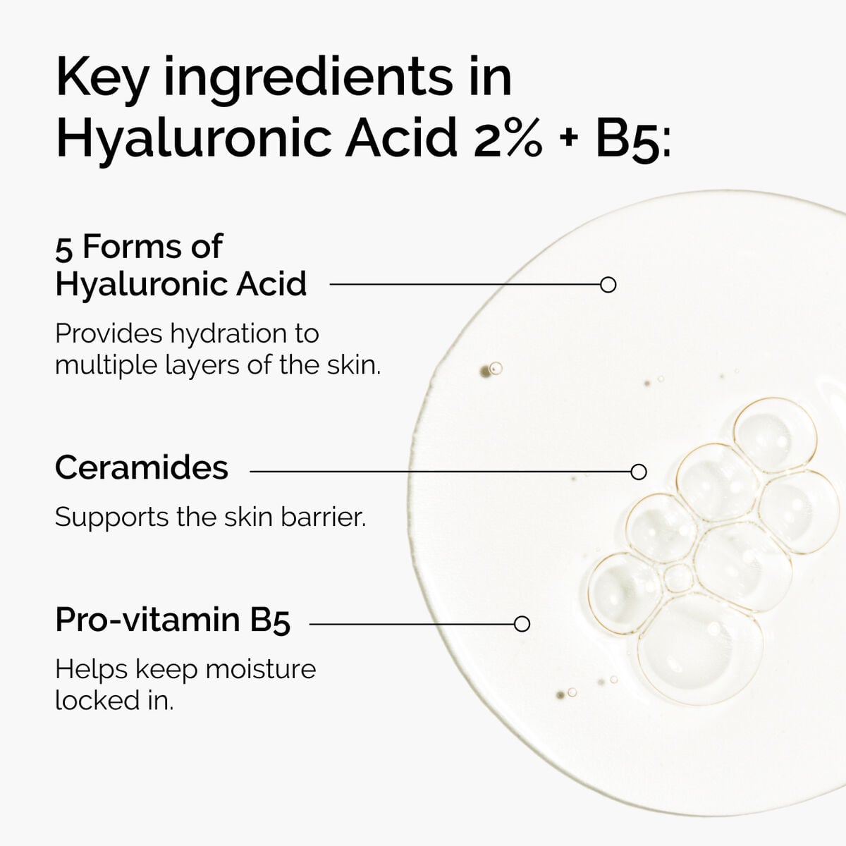 hyaluronic-acid-2-b5-with-ceramides-m2 ord-hyaluronic-acid-2pct-b5-hydrating-serum-ingredients-graphic.jpg