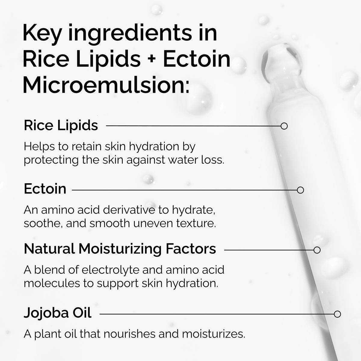 rice-lipids-ectoin-microemulsion-j2 ord-rice-lipids-ectoin-microemulsion-key-ingredients.png
