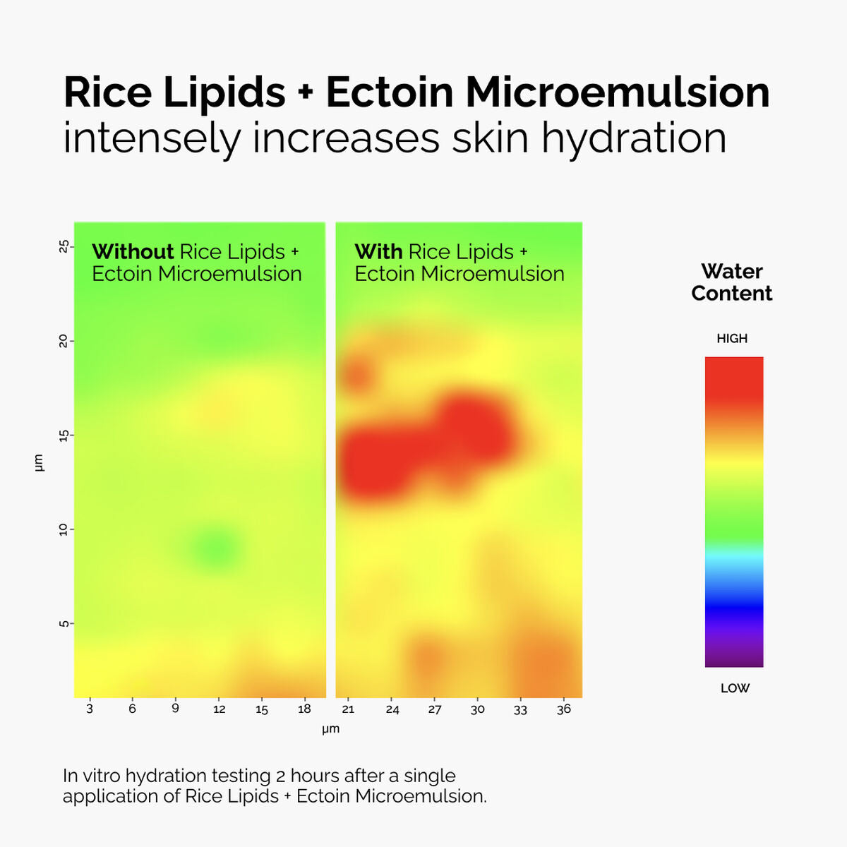 rice-lipids-ectoin-microemulsion-j2 ord-rice-lipids-ectoin-microemulsion-thermal-before-after.jpg